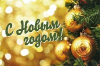 ППОС ЛПИ -филиала СФУ поздравляет всех с наступающим Новым годом !